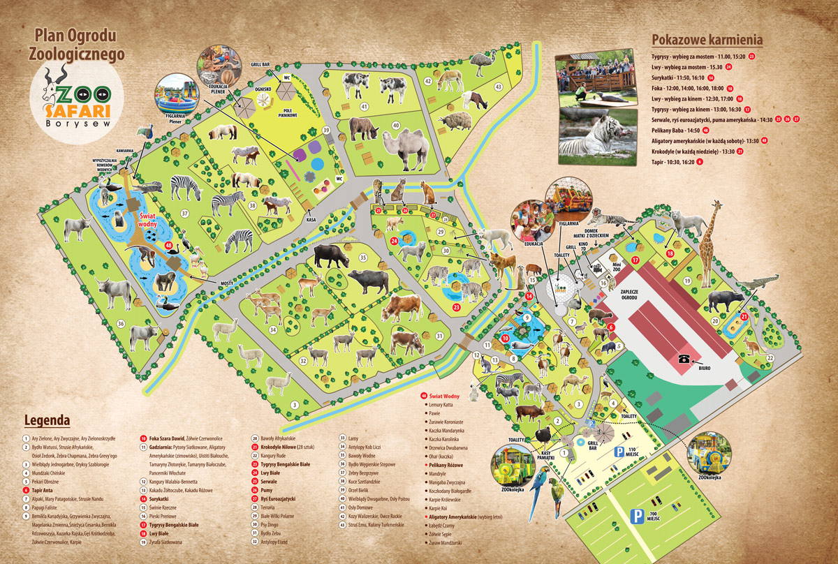 safari zoo mapa