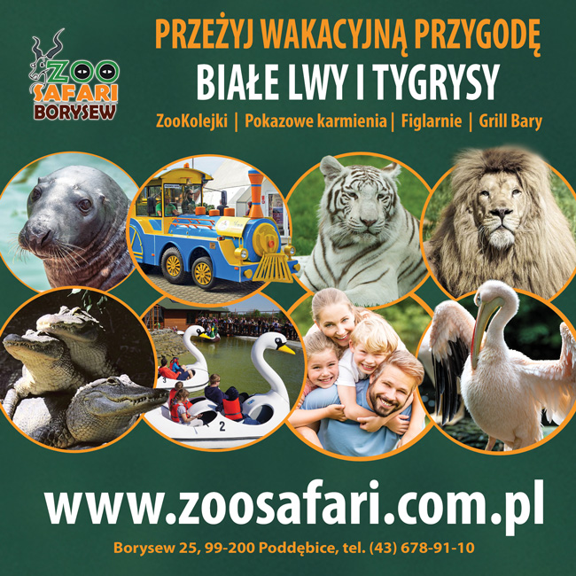 zoo safari borysew facebook