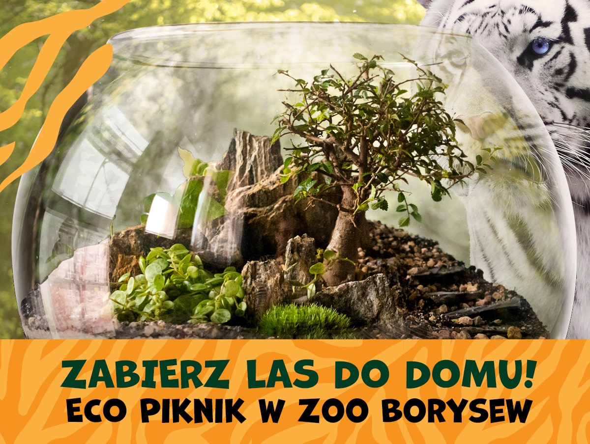 Eco-warsztaty w Zoo Borysew
