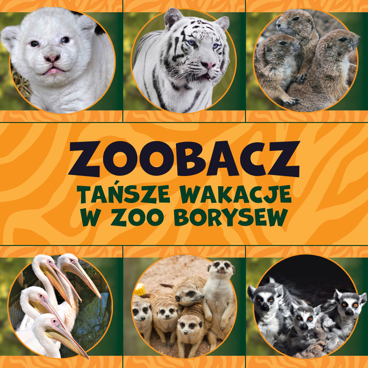 Tańsze bilety w Zoo Borysew – również we wrześniu!
