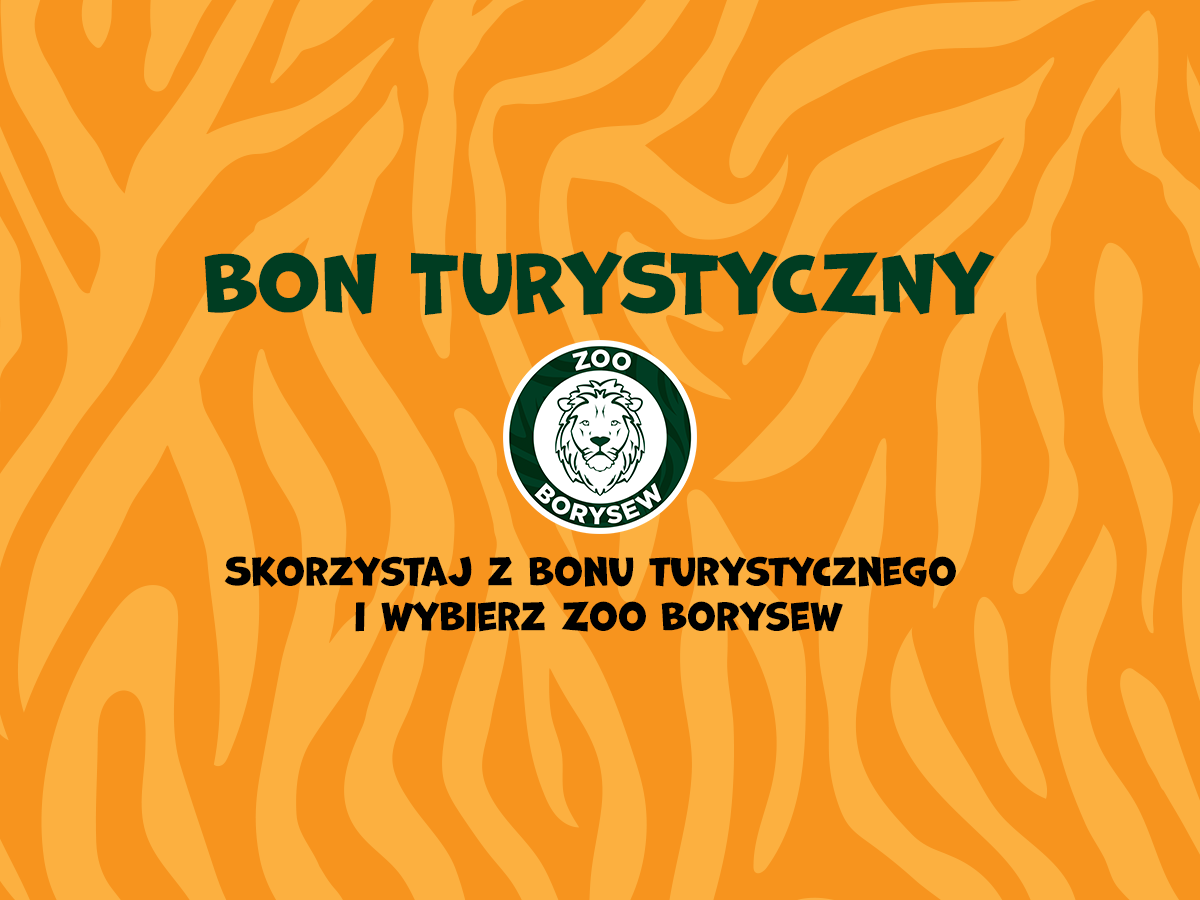 Bon turystyczny w Zoo Borysew