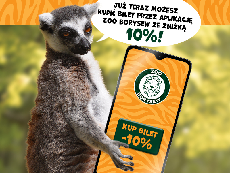 10% zniżki na bilety wstępu tylko w aplikacji mobilnej Zoo Borysew