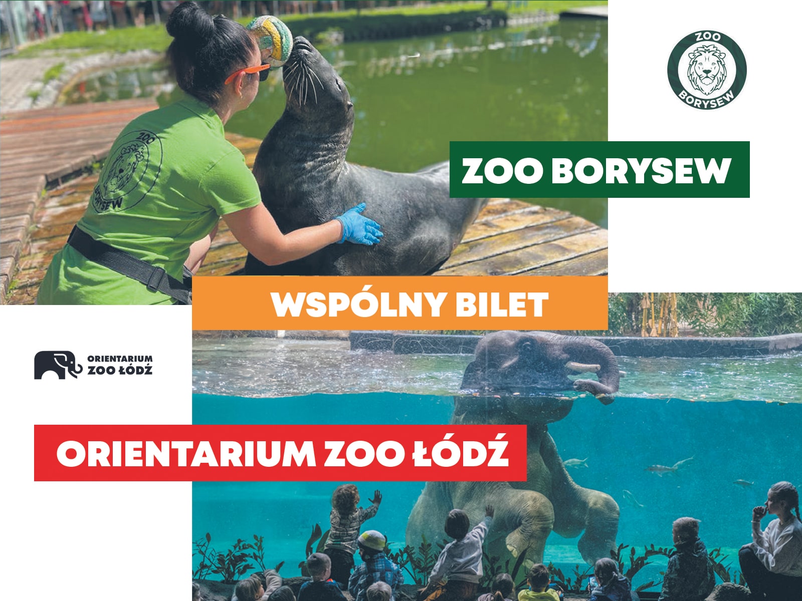 Ogrody zoologiczne w Łódzkiem łączą siły