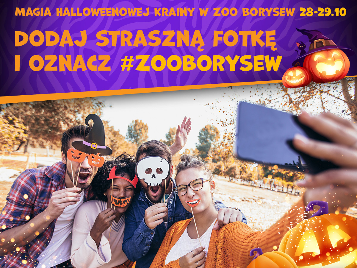 Halloweenowa Kraina w Zoo Borysew! W rolach głównych dynie, czarownice, strachy i … nasze zwierzaki.