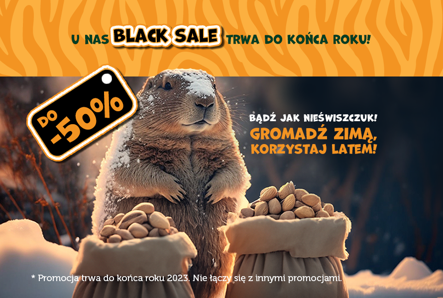 Wielka przedsprzedaż biletów w Zoo Borysew! Black Sale trwa do końca roku!