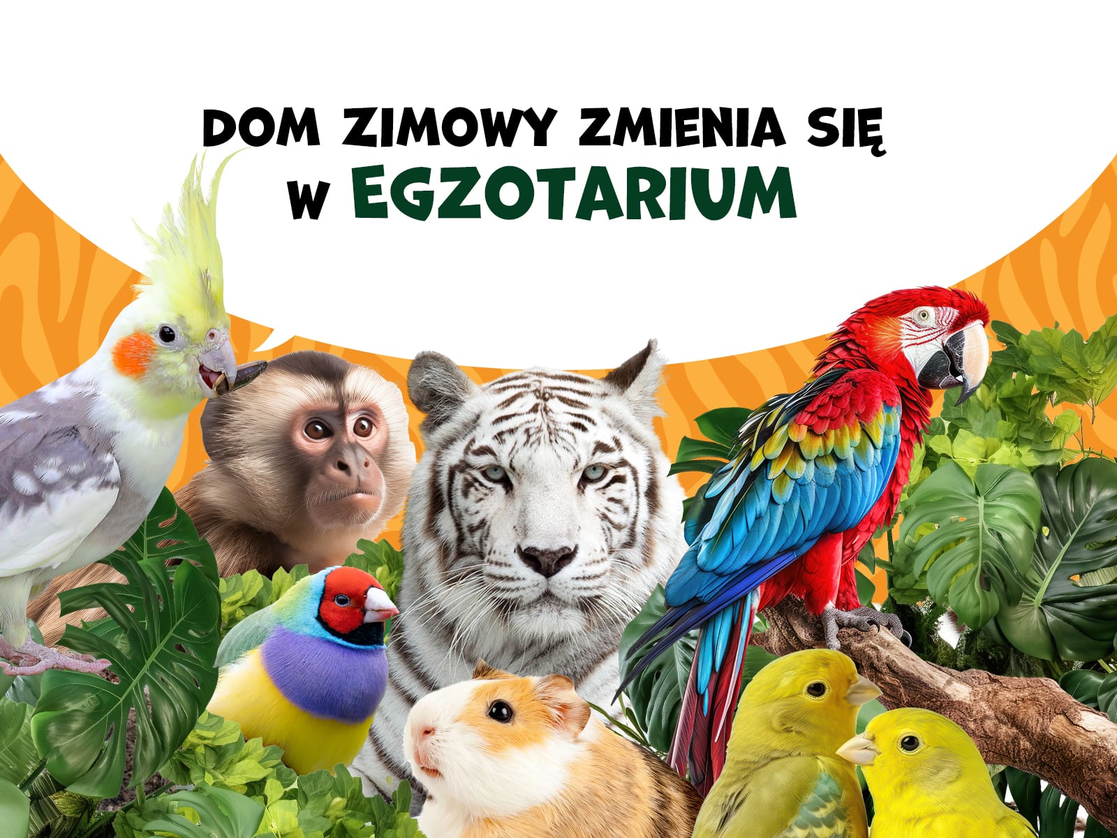 Nowe zwierzęta i ich nowy dom w Zoo Borysew!