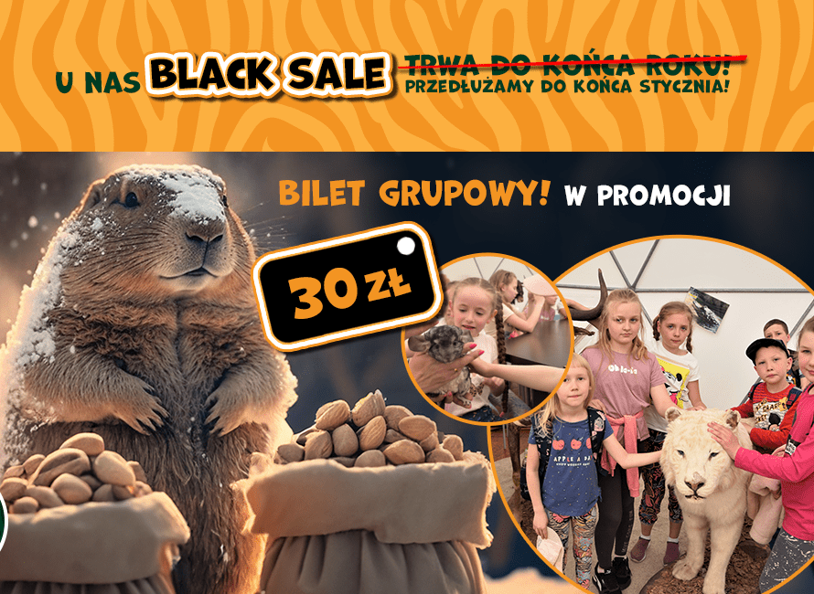 Black sale – bilety grupowe