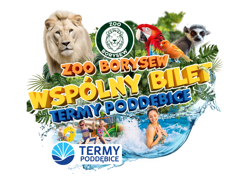 bilet wspólny, termy i zoo borysew