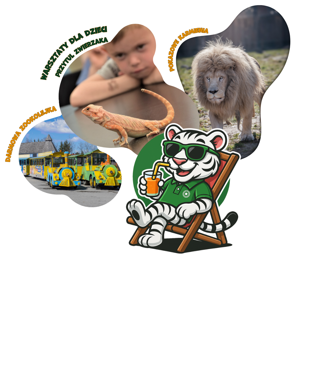 <h3><span style="font-size: 20px;"><span class="big text-orange">MAJÓWKA </span><span class="big text-orange">w ZOO BORYSEW</span></span><br /><span class="big text-light-green">z mnóstwem atrakcji</span></h3><h4 class="txt"><span style="font-size: 18px;">Spędź ten czas z rodziną na świeżym powietrzu. Obiekt czynny 9:00-19:00  Zapraszamy </span></h4><p><a href="https://borysew.emaintenance.pl/voucher-list"><!--<a class="button-orange" href="https://zoosafari.com.pl/?page_id=286">--><a href="https://borysew.emaintenance.pl/voucher-list" class="button-orange"><img src="https://zoosafari.com.pl/wp-content/themes/zoosafari/img/tickets-icon.svg" alt="Bilet" /> Kup bilet</a></a></p>